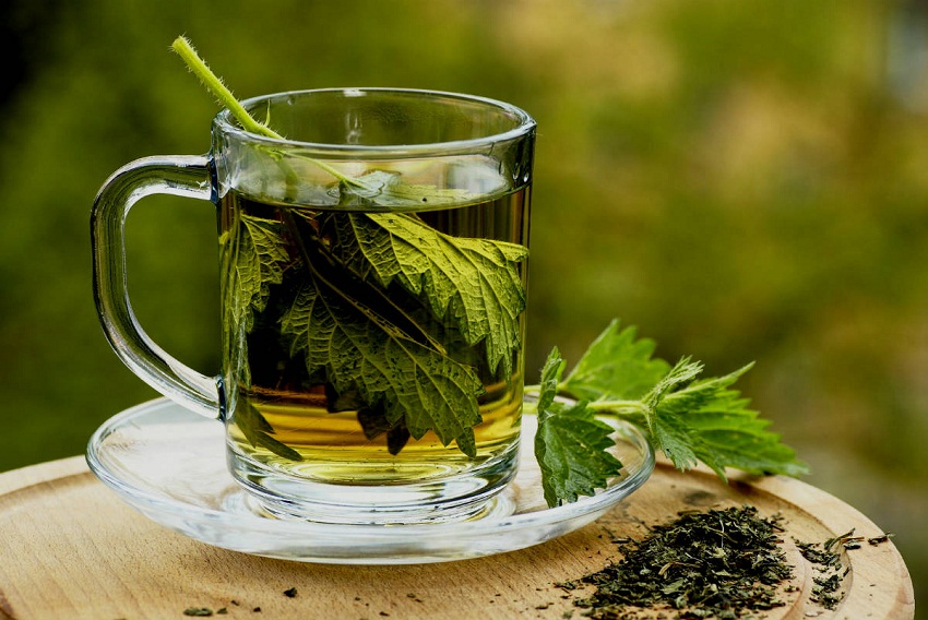 Parsley-Tea.jpg